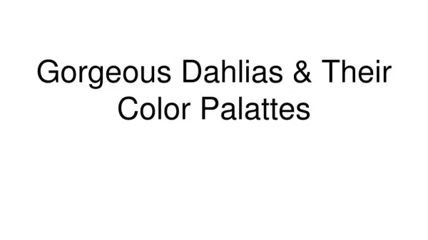 Gorgeous Dahlias & Their Color Palattes