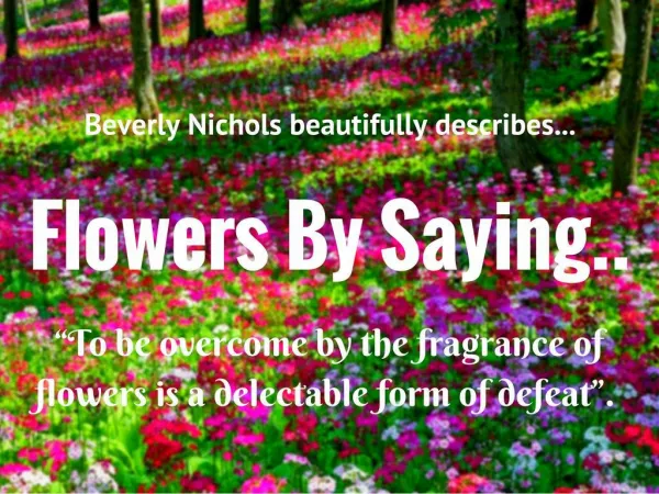 The Fragrance Of Flowers