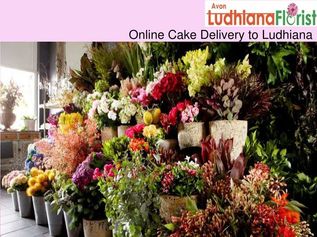 online cake delivery to ludhiana