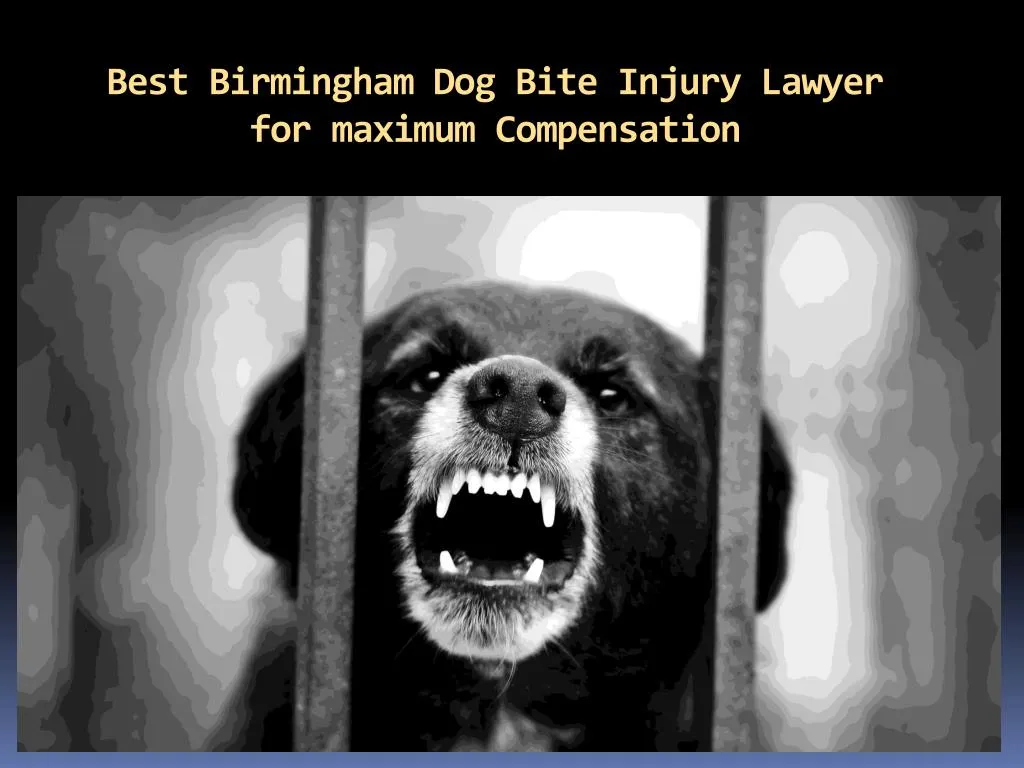 best birmingham dog bite injury lawyer for maximum compensation