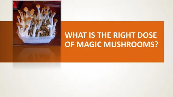 What is the Right Dose of Magic Mushrooms?