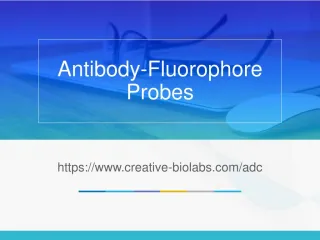 Antibody Fluorophore Probes - slide 1