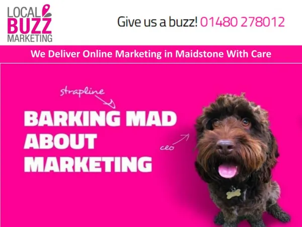 We Deliver Online Marketing in Maidstone With Care