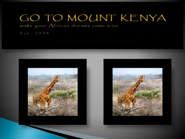 Mt Kenya climb Naro-moru
