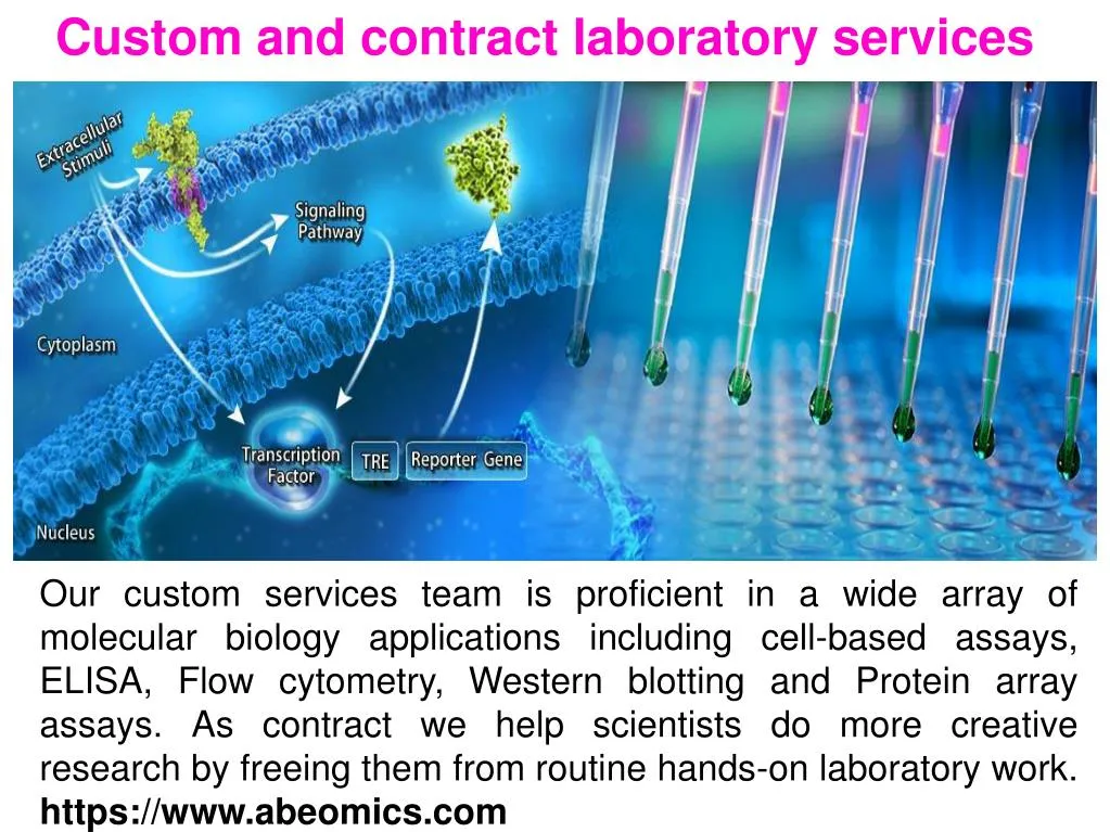 custom and contract laboratory services