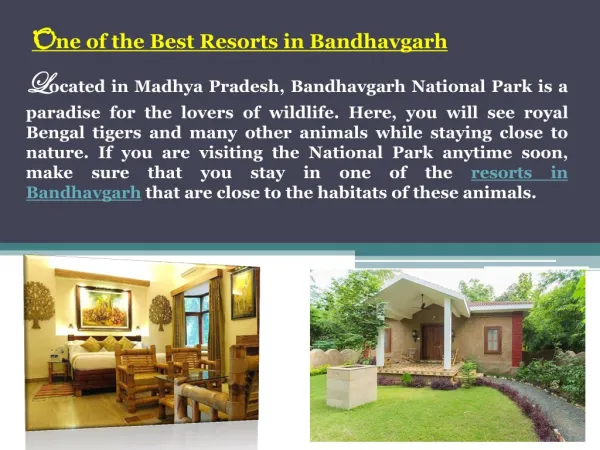 One of the Best Resorts in Bandhavgarh