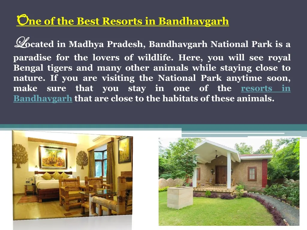 o o ne of the best resorts in bandhavgarh