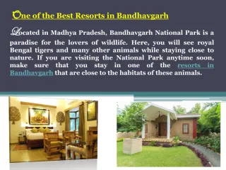 One of the Best Resorts in Bandhavgarh