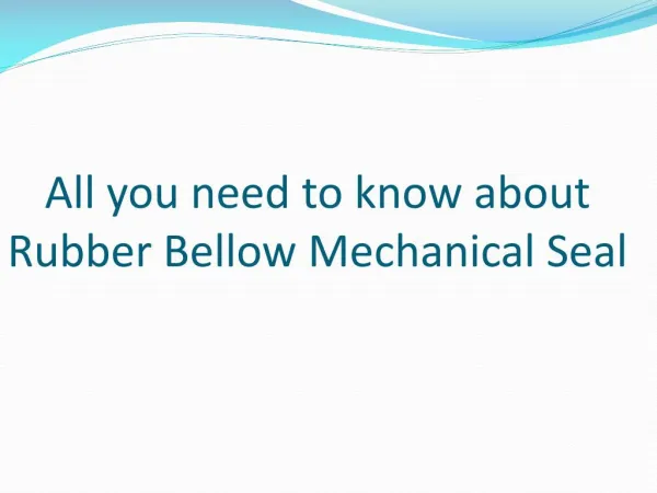 know about Rubber Bellow Mechanical Seal