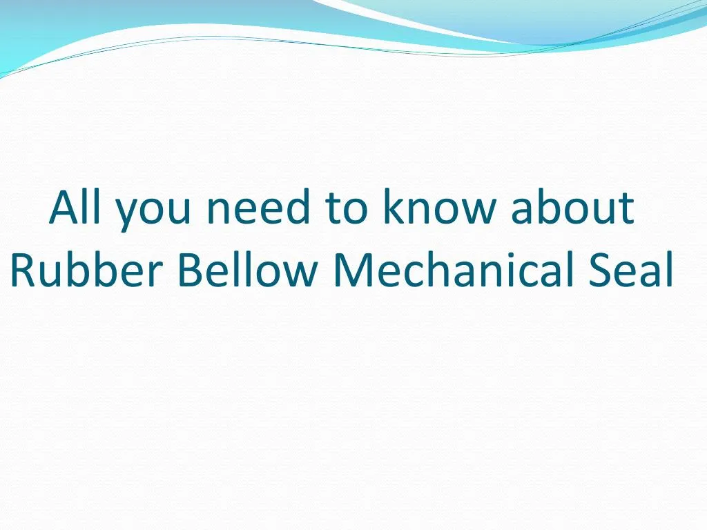 all you need to know about rubber bellow mechanical seal
