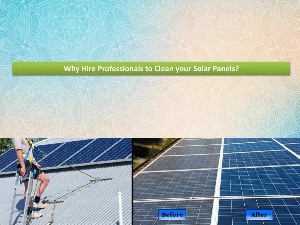 why hire professionals to clean your solar panels