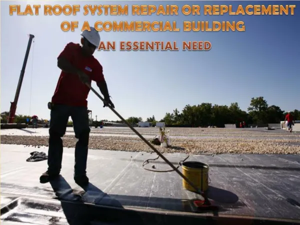 Flat Roof System Repair or Replacement of A Commercial Building- An Essential Need