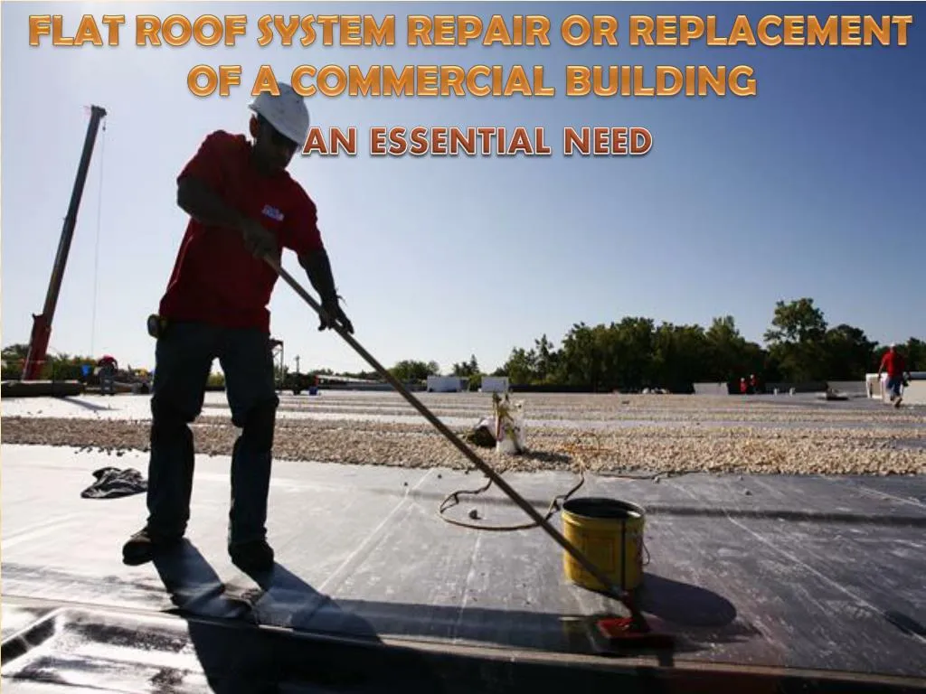 flat roof system repair or replacement