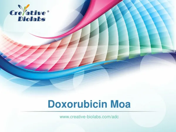 Doxorubicin Moa