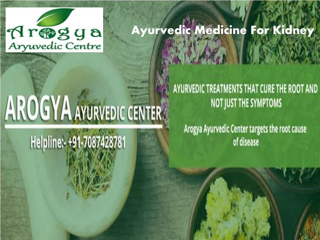 ayurvedic medicine for kidney