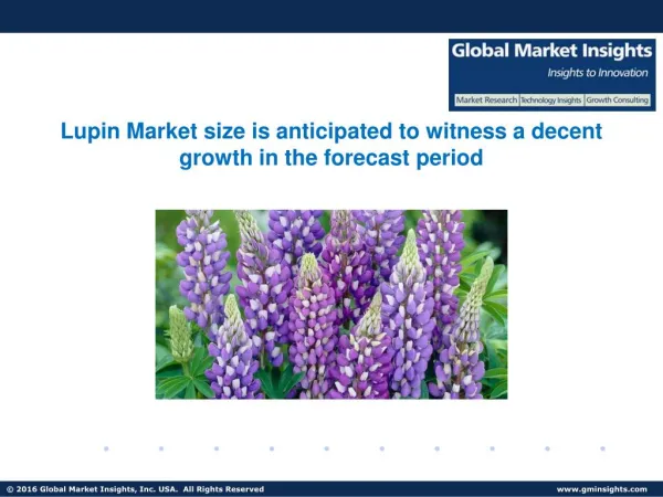 Lupin Market Size, Industry Analysis Report, Regional Outlook