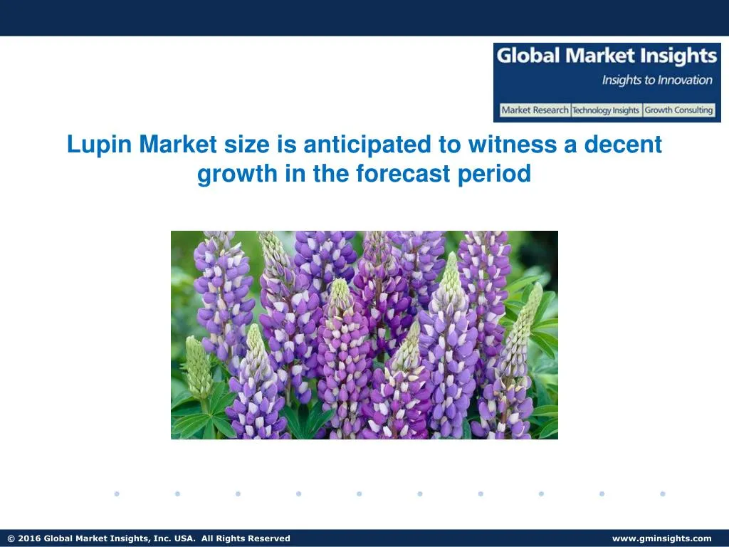 lupin market size is anticipated to witness