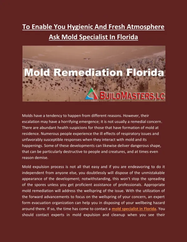 To Enable You Hygienic And Fresh Atmosphere Ask Mold Specialist In Florida