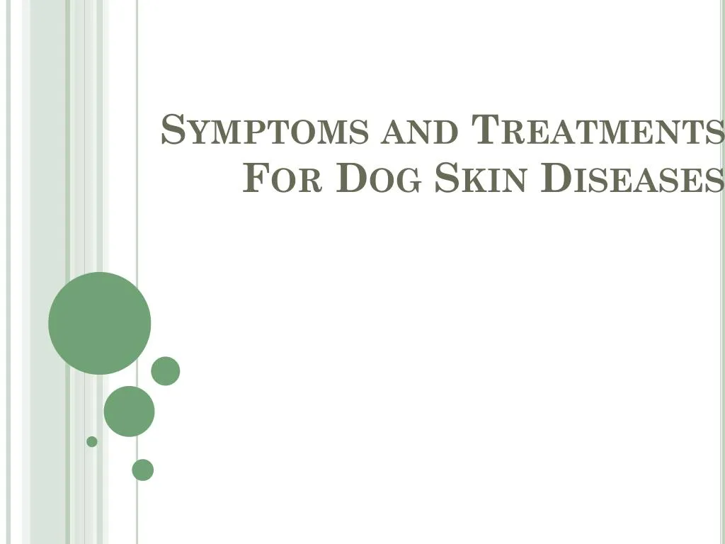symptoms and treatments for dog skin diseases