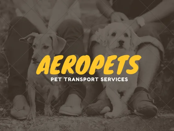 Aeropets Pet Transport Services