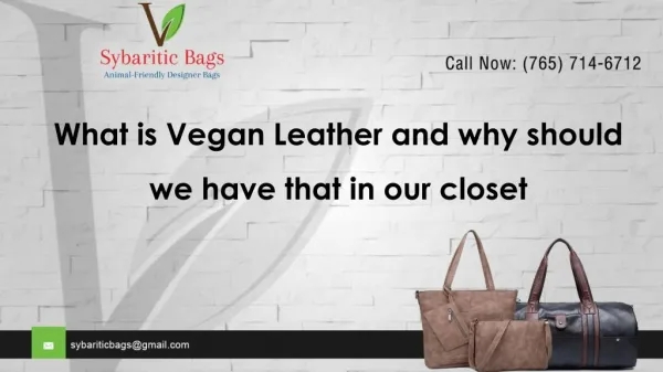 What is Vegan Leather and why should we have that in our closet?