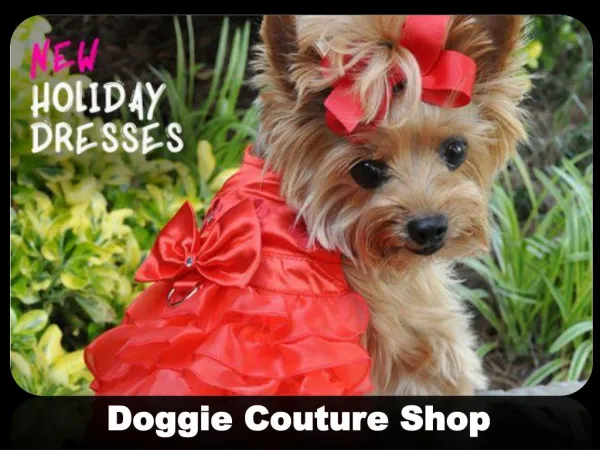 Doggie Couture Shop: Online Shop for Designer Small Dog Clothes