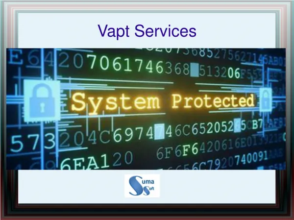 VAPT services