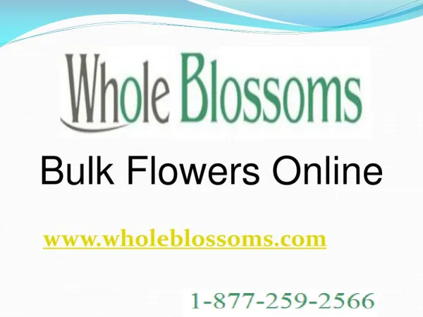 Bulk Flowers Online - wholeblossoms