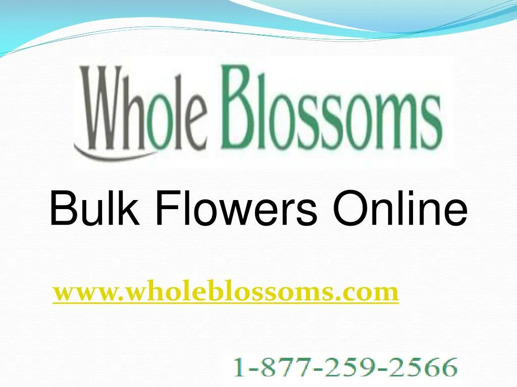 bulk flowers online