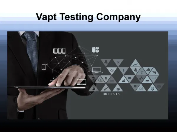 VAPT testing company