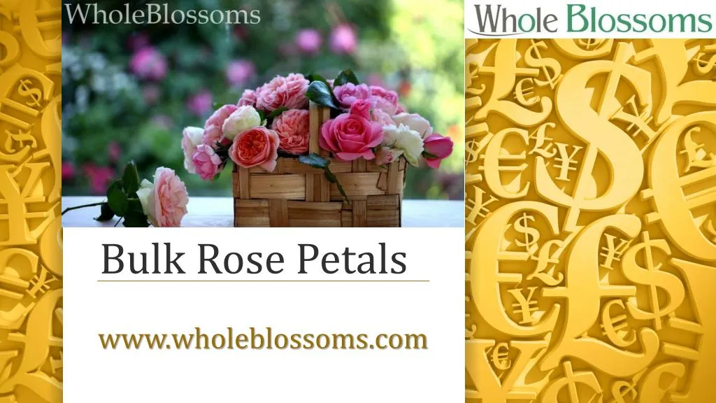 bulk rose petals