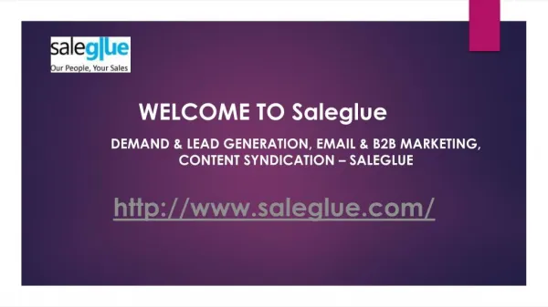 Demand & Lead Generation, Email & B2b Marketing, Content Syndication - Saleglue