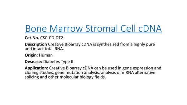 Bone Marrow Stromal Cell cDNA