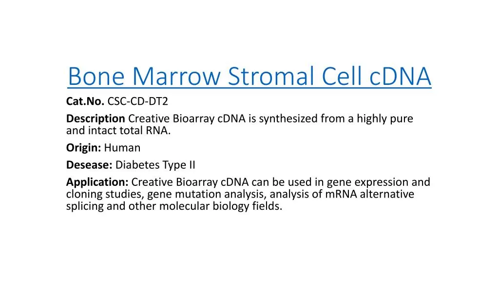 bone marrow stromal cell cdna