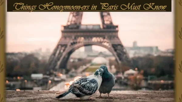 Honeymoon Package| Things honeymoon-ers in Paris must know