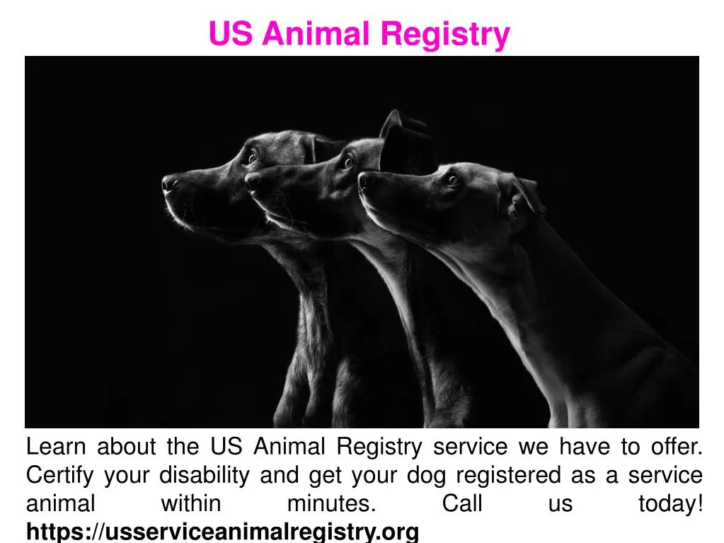 us animal registry
