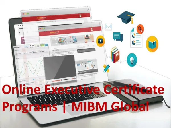 online executive certificate programs mibm global
