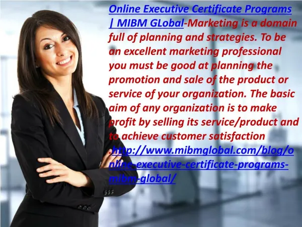 online executive certificate programs mibm global