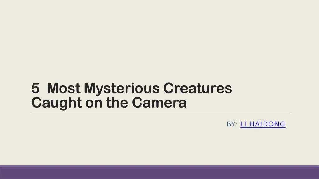 5 most mysterious creatures caught on t he camera