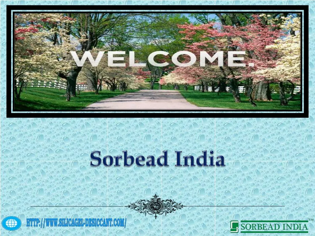 sorbead india