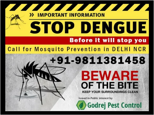 Get Upton 20% OFF Best Pest Control in Delhi/ NCR | Termite Treatment