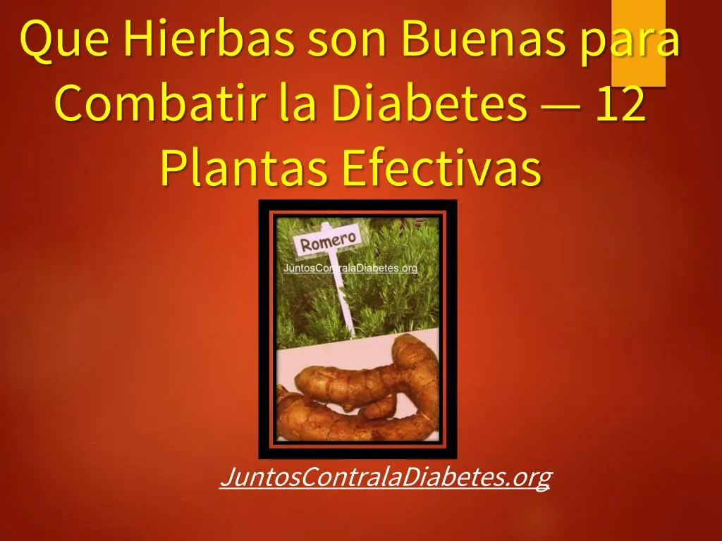 que hierbas son buenas para combatir la diabetes 12 plantas efectivas