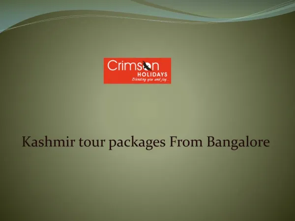 Bangalore to Kashmir trip package