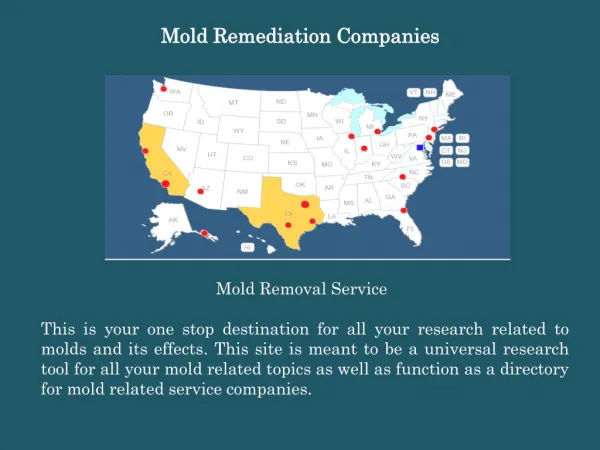 Mold remediation companies