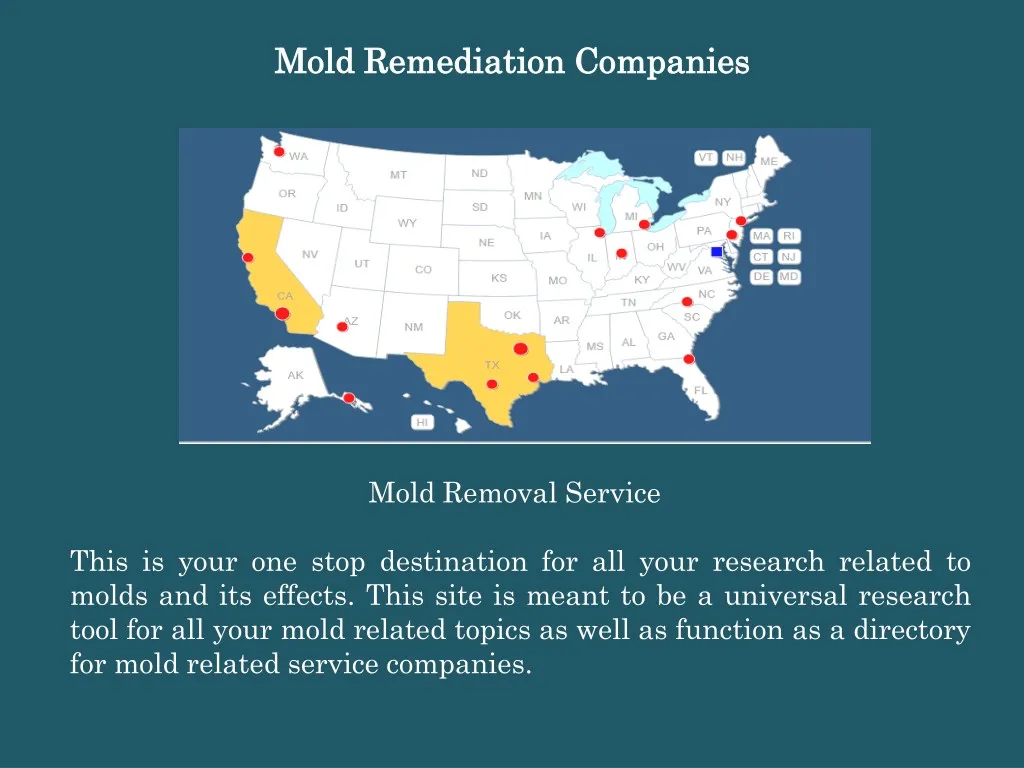 mold remediation companies mold remediation