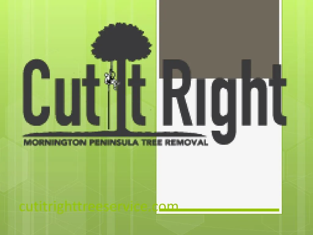 cutitrighttreeservice com
