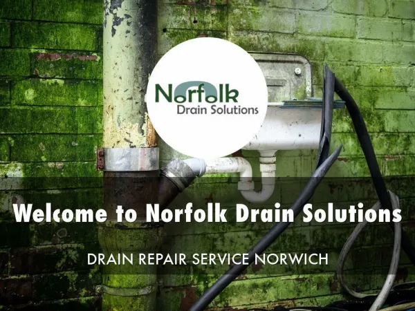 Drainage specialists