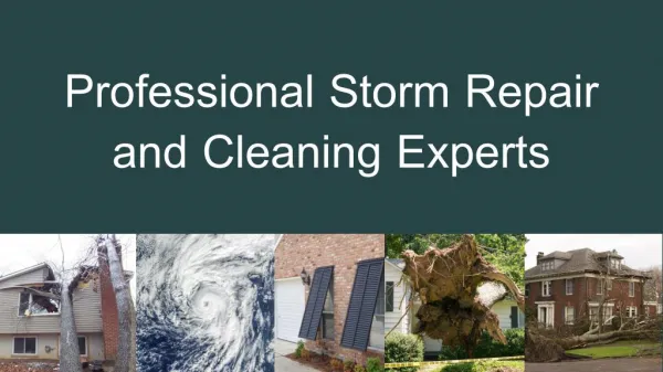 Professional Storm Repair and Cleaning Experts