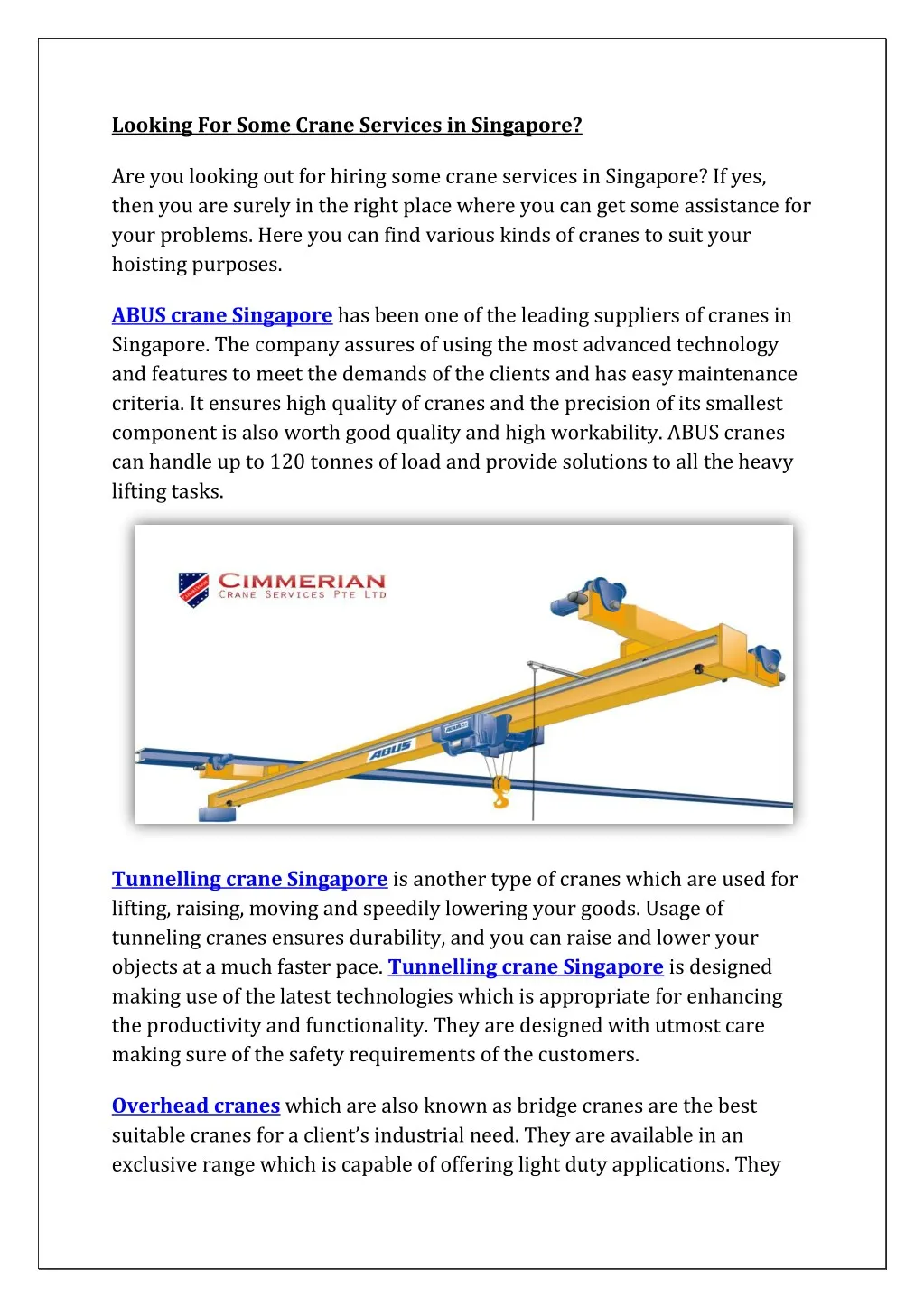 looking for some crane services in singapore