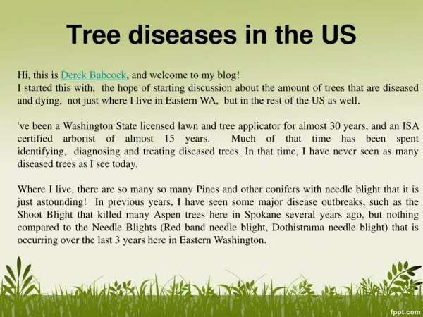 Tree diseases in the US